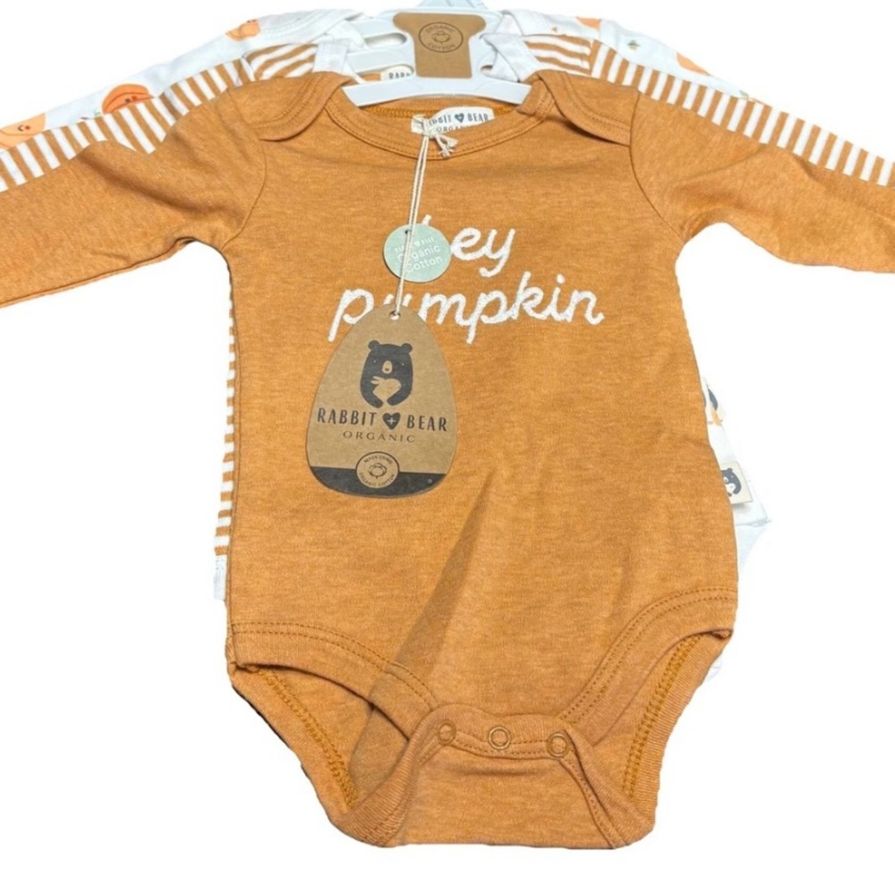Organic Rabbit+Bear Orange Halloween Themed Baby Onesie’s.